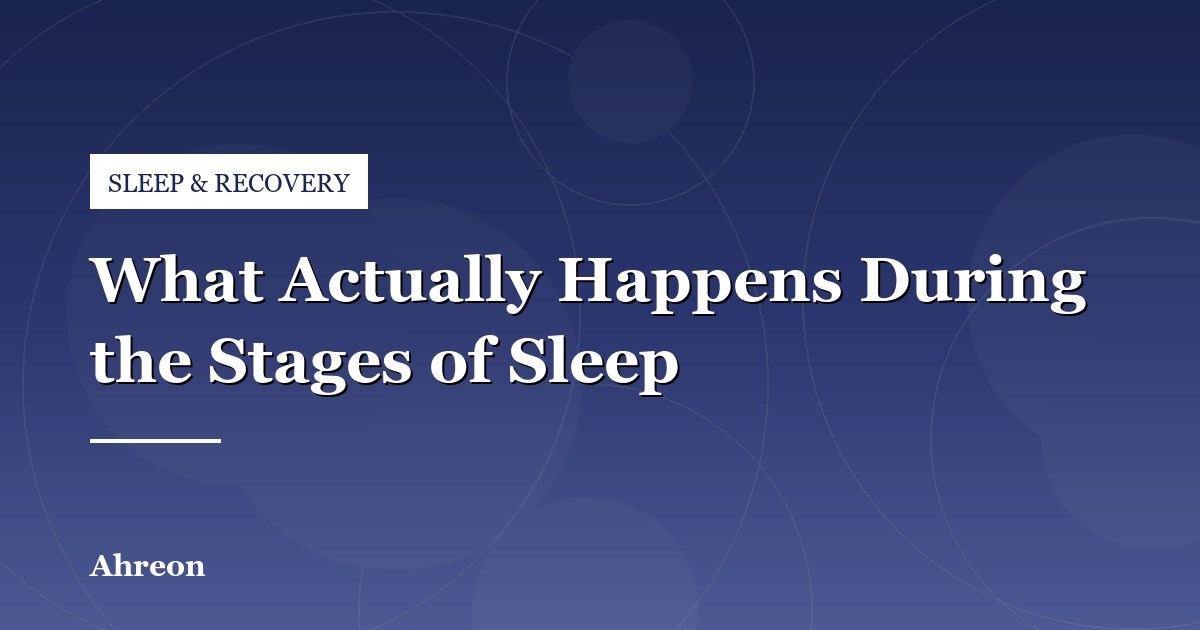 The Four Sleep Stages and Their Role in Physical and Cognitive Recovery